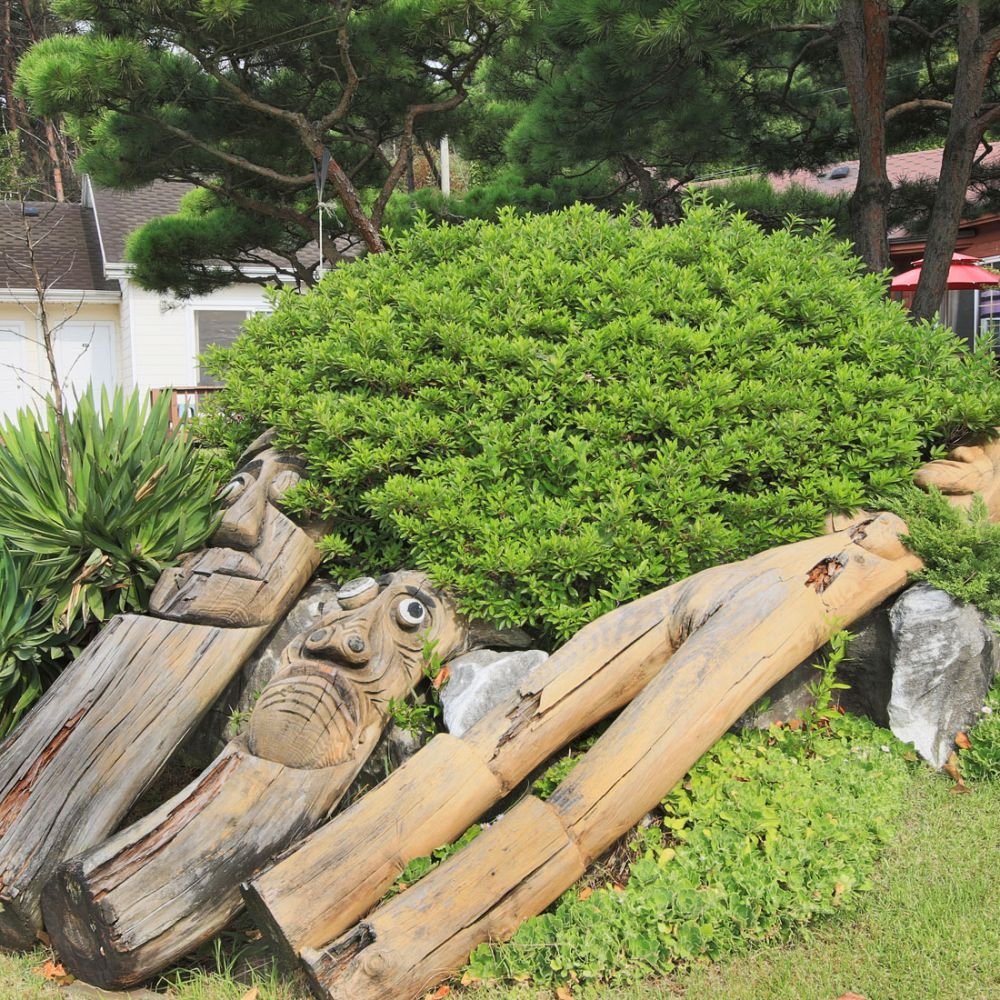 주간전경